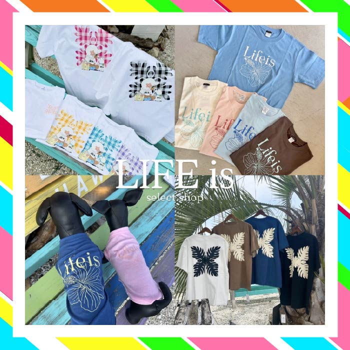 LIFE is