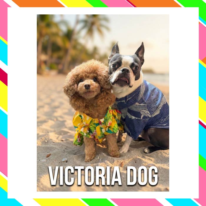 Victoria Dog